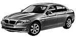 BMW F10 P06DD Fault Code
